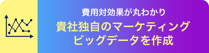 費用対効果が丸わかり 貴社独自のマーケティングビッグデータを作成